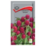 Семена Поиск Гомфрена Пурпурная, 0,1 г (kastd)