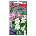 Семена Поиск Азарина лазающая Смесь окрасок, 10 шт (kastd)