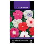 Семена Поиск Катарантус Пацифика Микс, 10 шт (kastd)