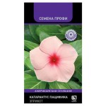Семена Поиск Катарантус Пацифика Эприкот, (kastd)