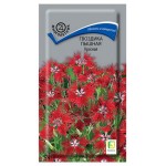 Семена Поиск Гвоздика пышная Красная, 0,1 г (kastd)