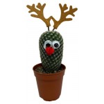 Кактус Олень, d 5 h 13-17 см (kastd)