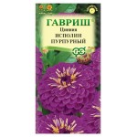 Семена Гавриш Цинния Исполин пурпурный, 0,3 г (kastd)