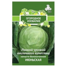 Семена Поиск Капуста белокочанная Июньская, 0,5 г (kastd) в магазинах Ашан