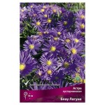 Астра Поиск микс в капере, 1 шт (kastd)