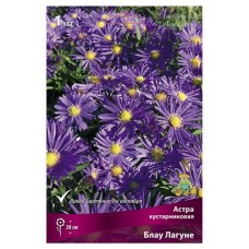 Астра Поиск микс в капере, 1 шт (kastd) в магазинах Ашан