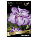 Ирис японский Поиск микс в капере, 1 шт (kastd)