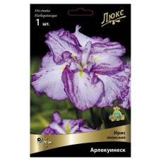 Ирис японский Поиск микс в капере, 1 шт (kastd) в магазинах Ашан