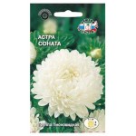 Семена СеДеК Астра Соната, 1 шт (kastd)