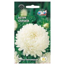 Семена СеДеК Астра Соната, 1 шт (kastd) в магазинах Ашан
