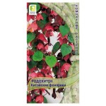 Семена Поиск Родохитон Китайские Фонарики, 5 шт (kastd)