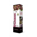 Саженцы Поиск Крыжовник, 1 шт (kastd)