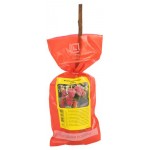 Саженцы Поиск Малина микс, 1 шт (kastd)