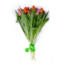 Букет тюльпан Florentika h 40 см, 15 шт (kastd) в магазинах Ашан