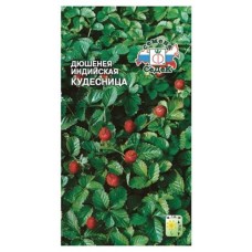 Семена СеДеК Земляника Дюшинея Кудесница индийская декоративная, 0,04 г (kastd) в магазинах Ашан