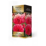 Луковицы Поиск Пион гибридный Комманд Перформанс серия Люкс, 1 шт (kastd)