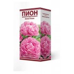 Луковицы Поиск Пион молочно-цветковый травянистый Эмма Клем серия Классик, 1 шт (kastd)