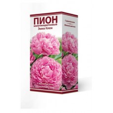 Луковицы Поиск Пион молочно-цветковый травянистый Эмма Клем серия Классик, 1 шт (kastd) в магазинах Ашан