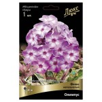 Луковицы Поиск Флокс метельчатый Олимпус, 1 шт (kastd)