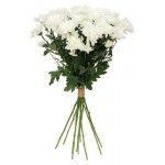 Букет хризантем Флобас, 3 шт (kastd)