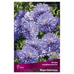 Луковицы Поиск Астра новобельгийская Мари Баллард, 1 шт (kastd)