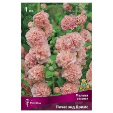 Луковицы Поиск Мальва розовая Нигра, 1 шт (kastd) в магазинах Ашан