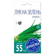 Семена Агроуспех Лук на зелень изумруд, 1 г (kastd) в магазинах Ашан