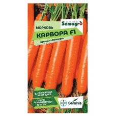 Семена Seminis Морковь Карвора F1, 200 шт (kastd) в магазинах Ашан