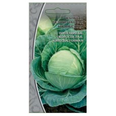 Семена Ваше хозяйство Капуста белокочанная Июньская, 1 г (kastd) в магазинах Ашан