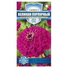 Семена Гавриш Цинния Великан пурпурный, 0,3 г (kastd) в магазинах Ашан
