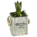 Гиацинт ЕИС Логистик в корзине с двумя ручками, d 22 h 20 см (kastd)