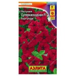 Семена Аэлита Петуния суперкаскадная бургунди F1, 0,5 г (kastd)
