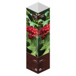 Саженцы Флора групп Калина C1, 1 шт (kastd)