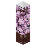 Саженцы Флора групп Клематис горный розовый C1, 1 шт (kastd) Саженцы Флора групп Клематис горный розовый C1, 1 шт (kastd)