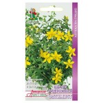 Семена Зверобой Поиск Оптимист (kastd)