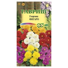 Семена Георгина Гавриш Фигаро, 0,3г (kastd) в магазинах Ашан