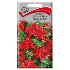 Семена Флокс Друммонда Поиск Промис красный, 10 шт (kastd) в магазинах Ашан