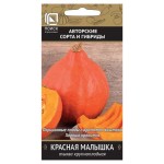 Семена Тыква Поиск Малыш красная крупная, 10 шт (kastd)