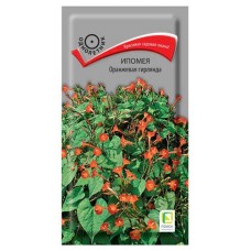 Семена Ипомея Поиск Оранжевая гирлянда, 0,3 г (kastd) в магазинах Ашан