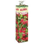 Саженцы Малина (kastd)