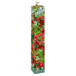 Саженцы Вишня войлочная (kastd)