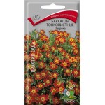 Семена Бархатцы Поиск Тонкая паприка, 0,1 г (kastd)