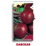 Семена Свекла Поиск Хавская, 3 г (kastd)