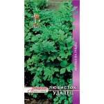 Семена Любисток Поиск Удалец, 1 г (kastd)