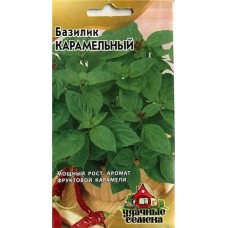 Семена Базилик Удачные семена Карамельный, 0,3 г (kastd) в магазинах Ашан