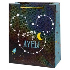 Пакет подарочный Феникс-Презент дисней, 26x32 см (kastd) в магазинах Ашан