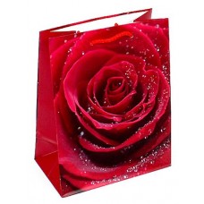 Сумка бумажная Grand Gift средняя, 23х18х10 см (kastd) в магазинах Ашан