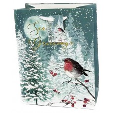 Пакет подарочный Зима, 26х32 см (kastd) в магазинах Ашан