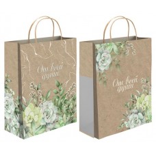 Пакет бумажный подарочный Суккуленты крафтовый, 20х24 см (kastd) в магазинах Ашан