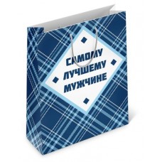 Пакет подарочный мужской, 23х18х10 см, 1 шт (kastd) в магазинах Ашан